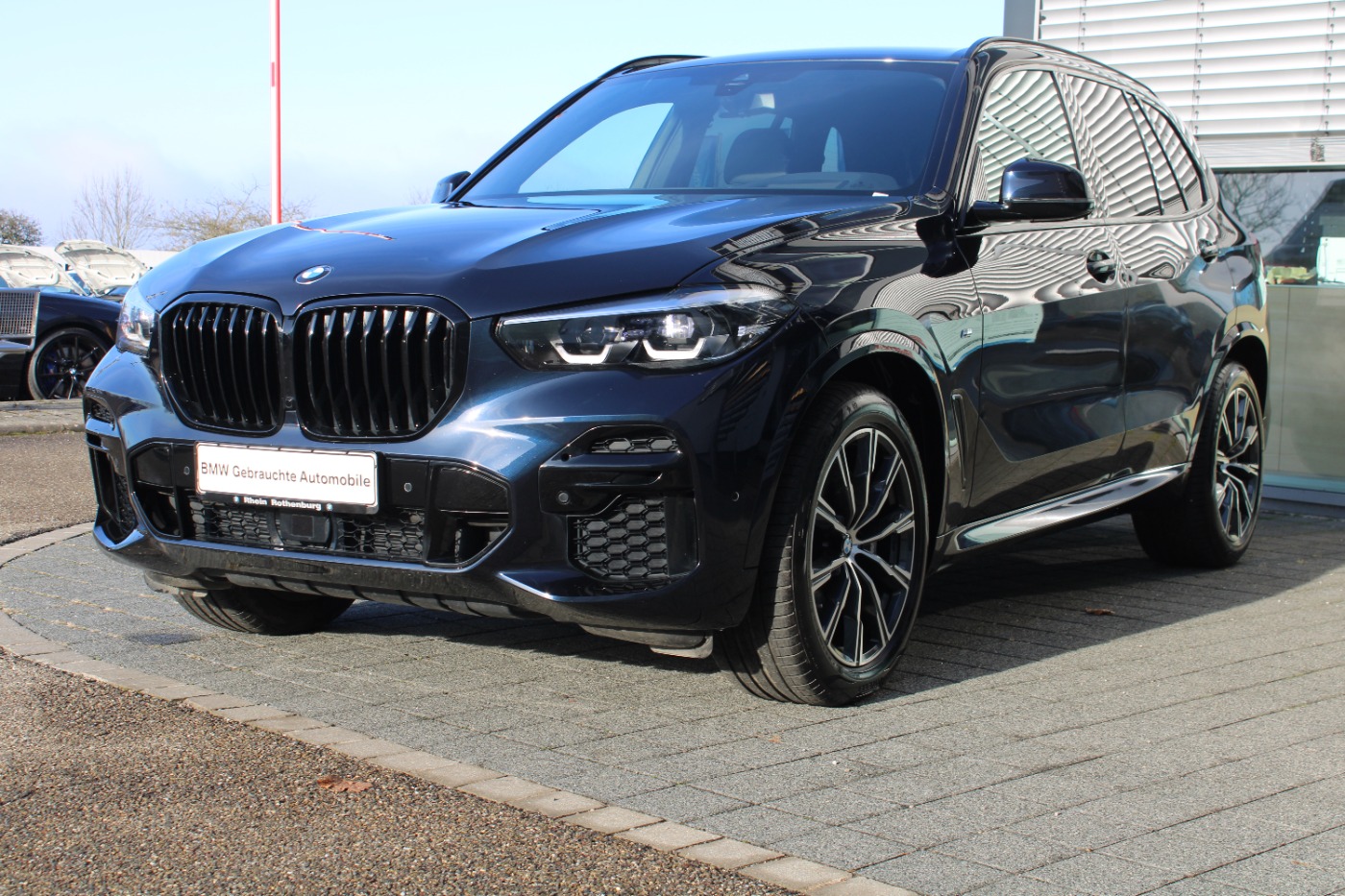 BMW X5 xDrive30d M Sport HeadUp Komfort AHK LIVE Cam