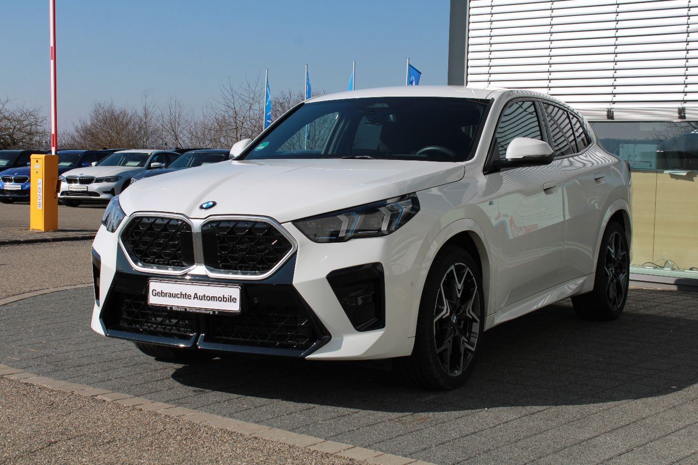 BMW X2 sDrive20i M Sport HeadUp AHK Kamera Iconic