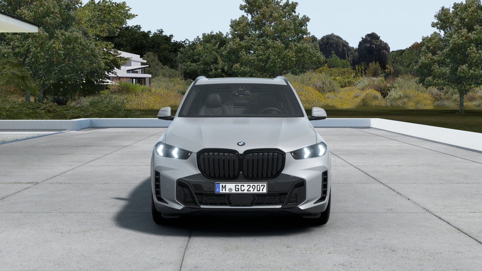 BMW X5 xDrive30d AHK M-Pro ACC Inno Pano