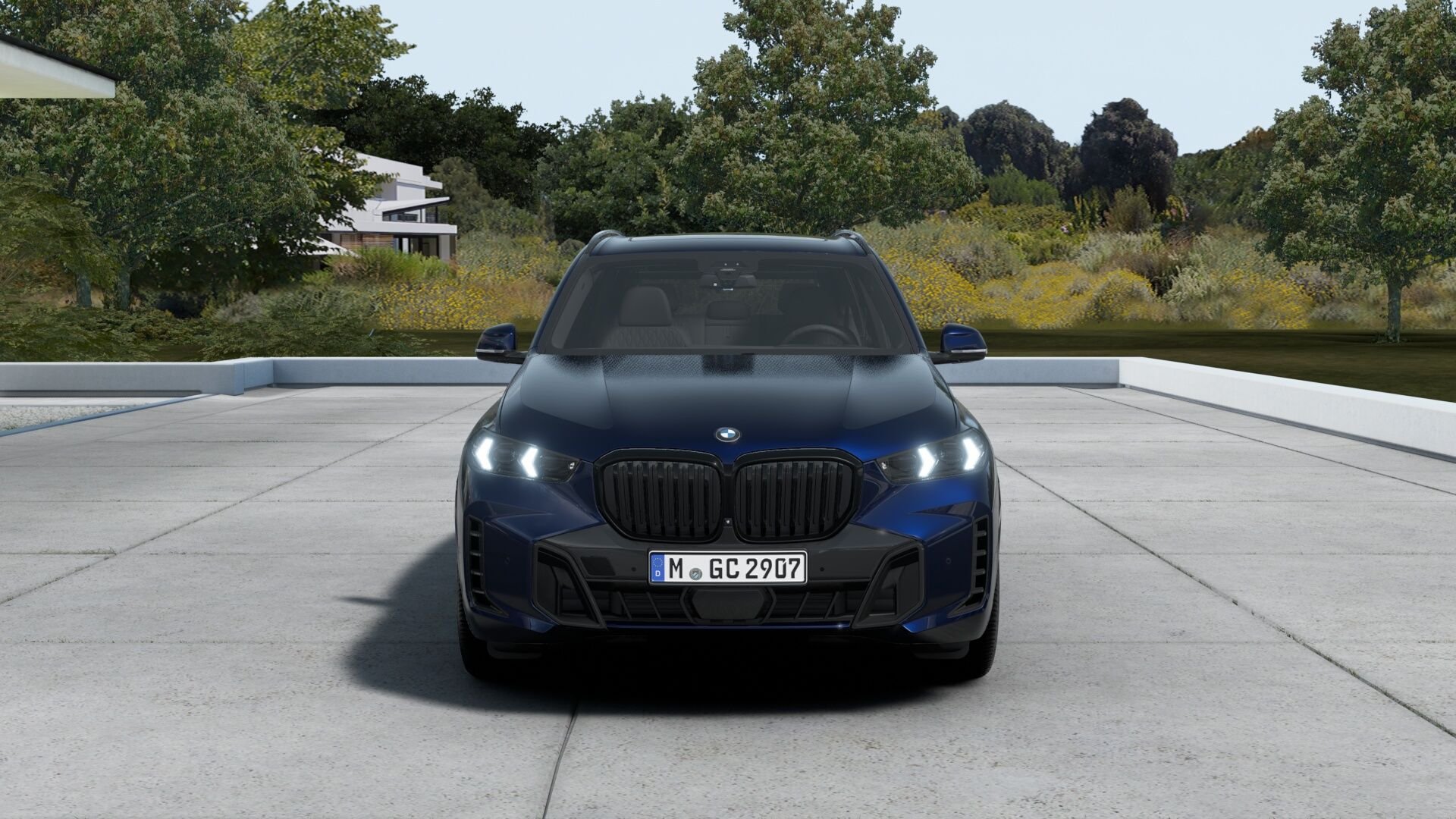 BMW X5 xDrive30d ACC AHK M-Pro