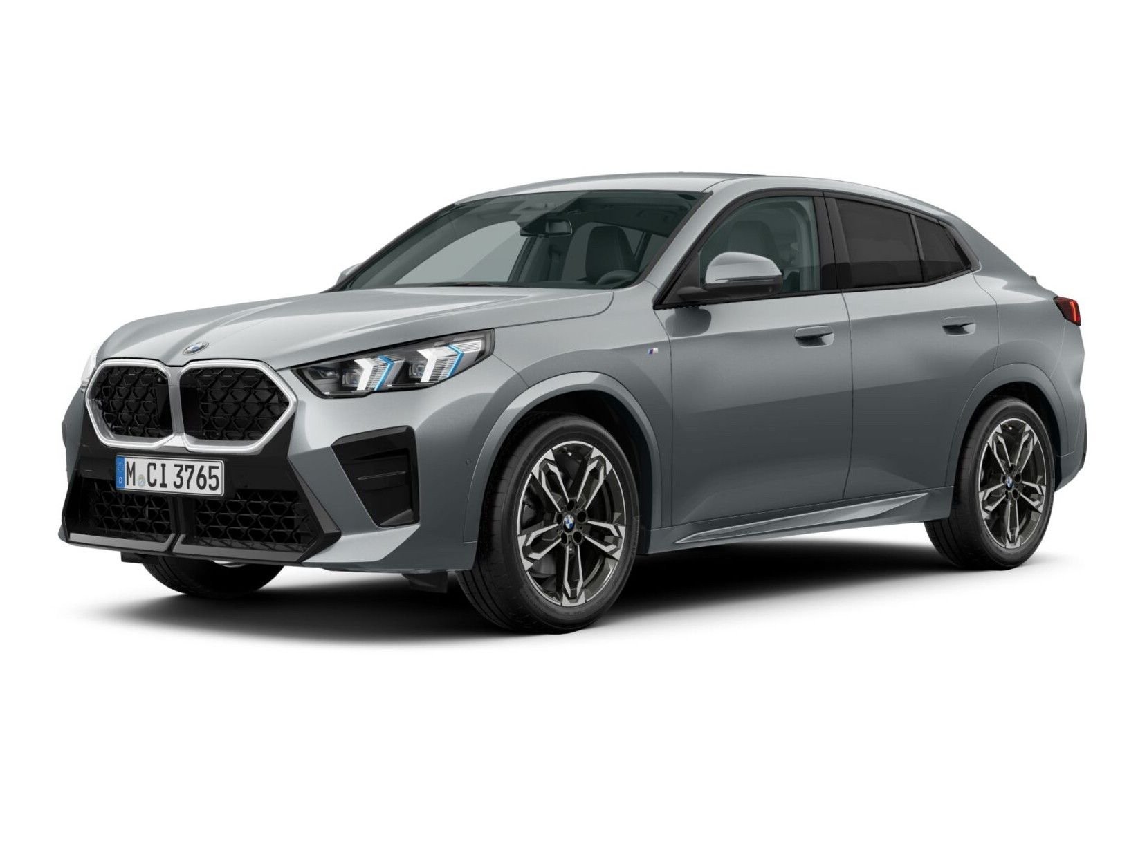 BMW X2 sDrive20i M Sport InnoPaket ACC AHK HuD 360