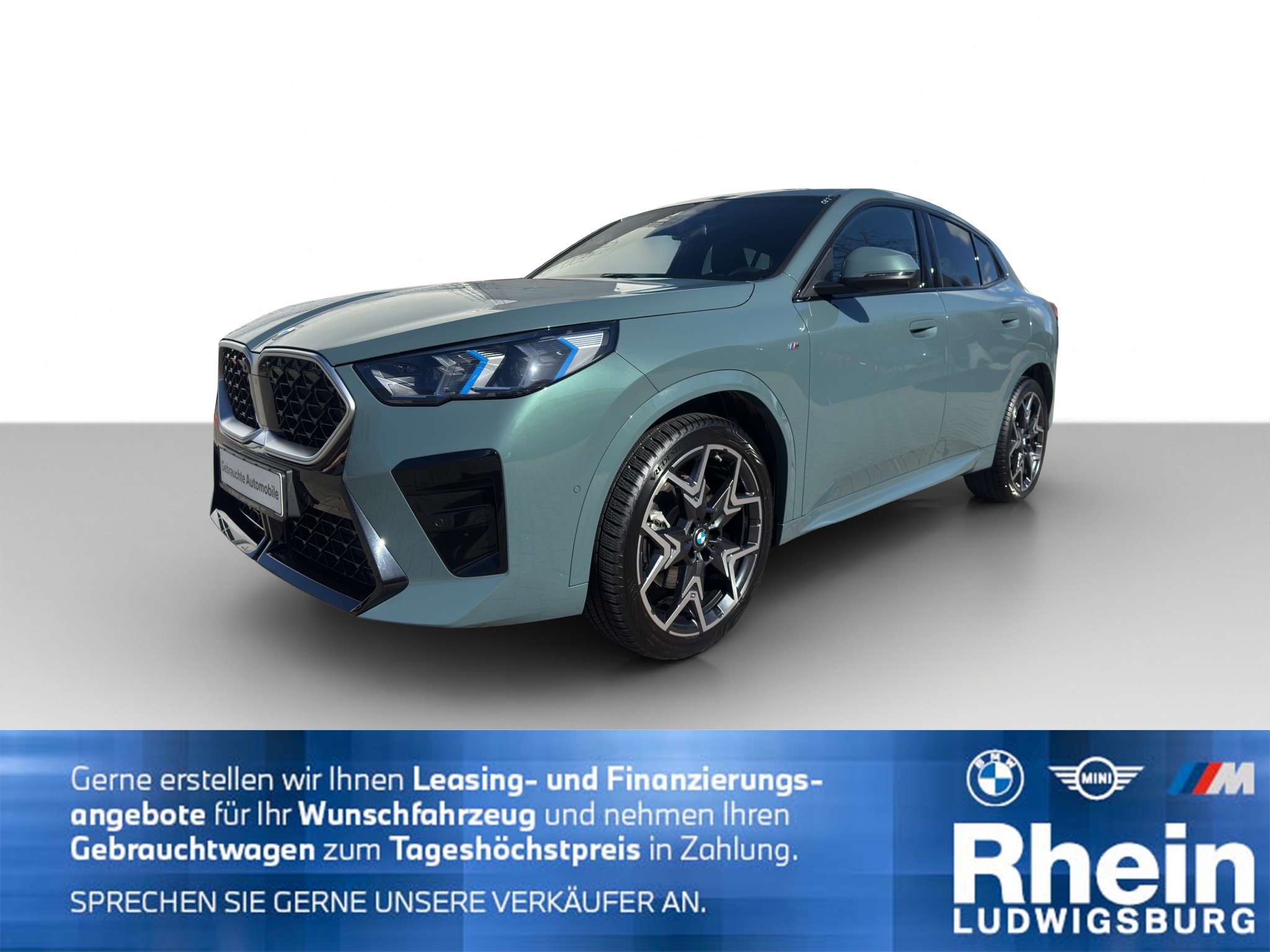 BMW X2 sDrive20i M Sport ParkAs Hifi LED DrivAs