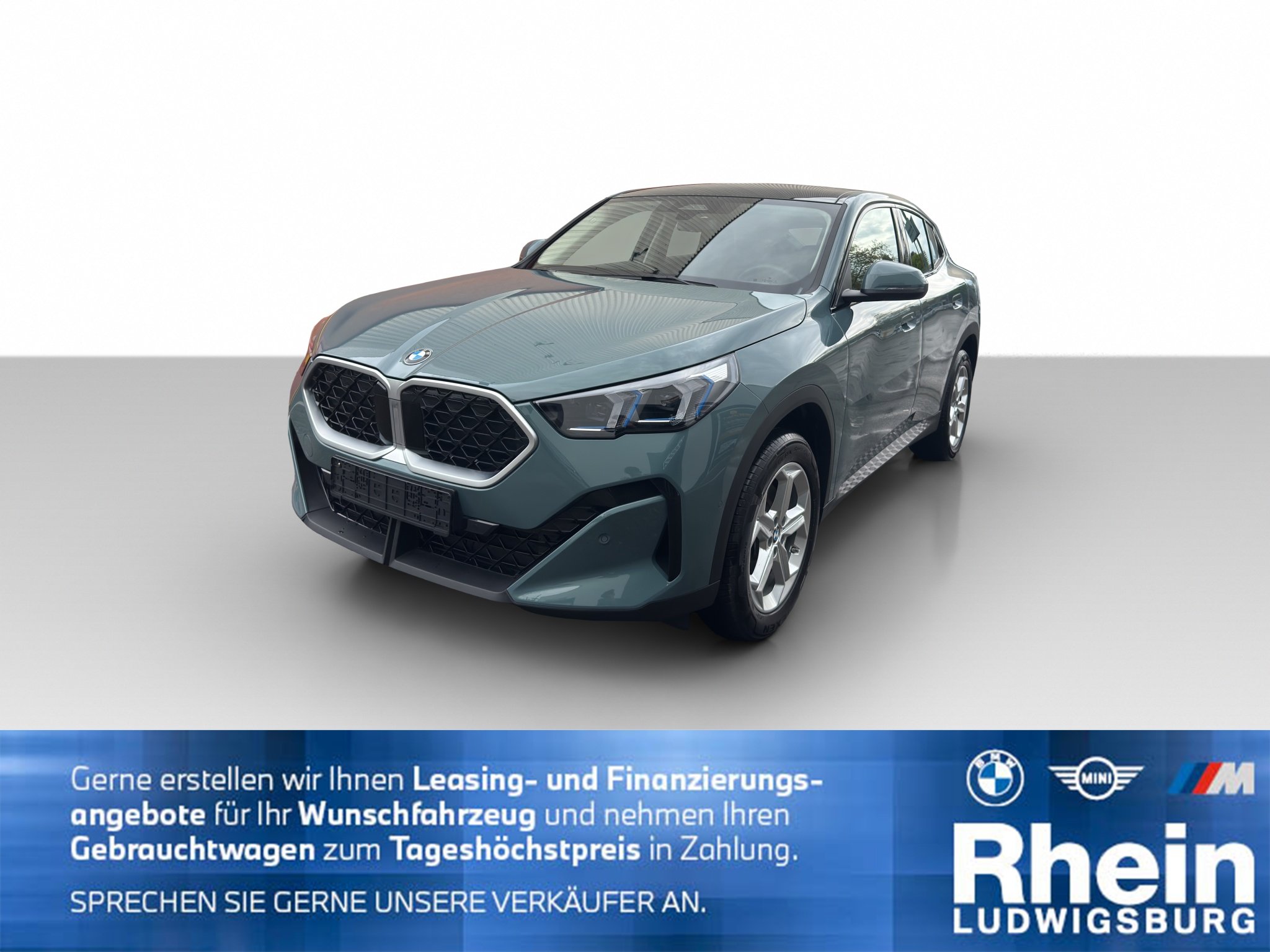 BMW X2 sDrive20i Parl/DrivAs Pano SHZ