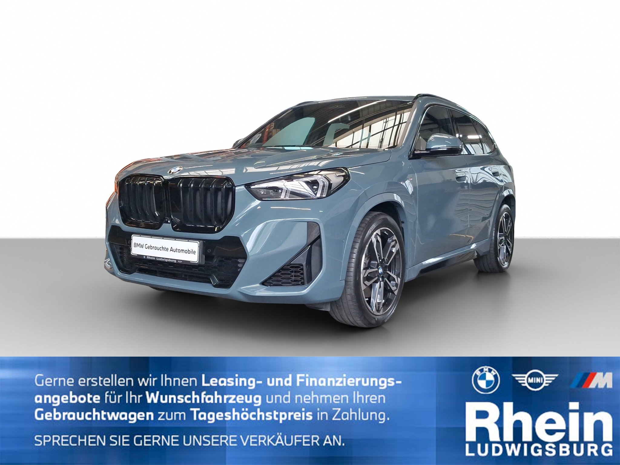BMW X1 xDrive23i M Sportpaket Park/DrivAs+  AHK LED